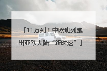 11万列！中欧班列跑出亚欧大陆“新时速”