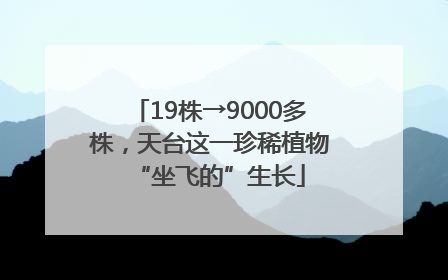19株→9000多株，天台这一珍稀植物“坐飞的”生长
