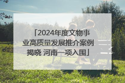 2024年度文物事业高质量发展推介案例揭晓 河南一项入围