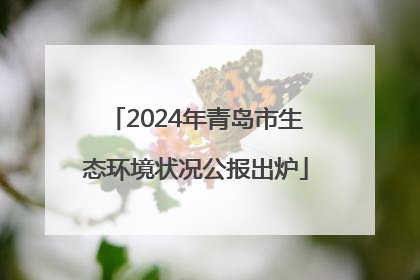 2024年青岛市生态环境状况公报出炉