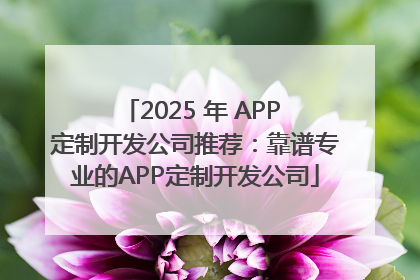 2025 年 APP 定制开发公司推荐：靠谱专业的APP定制开发公司