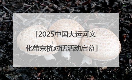 2025中国大运河文化带京杭对话活动启幕