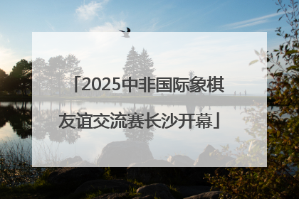 2025中非国际象棋友谊交流赛长沙开幕