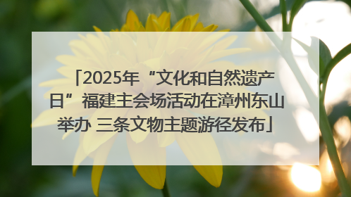 2025年“文化和自然遗产日”福建主会场活动在漳州东山举办 三条文物主题游径发布