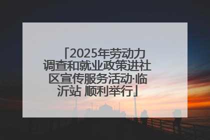 2025年劳动力调查和就业政策进社区宣传服务活动·临沂站 顺利举行