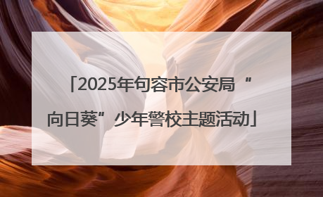 2025年句容市公安局“向日葵”少年警校主题活动
