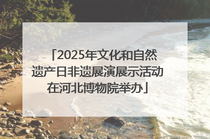2025年文化和自然遗产日非遗展演展示活动在河北博物院举办