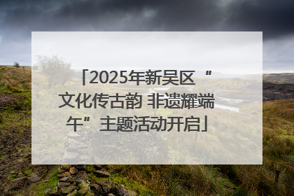 2025年新吴区“文化传古韵 非遗耀端午”主题活动开启
