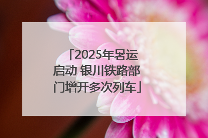 2025年暑运启动 银川铁路部门增开多次列车