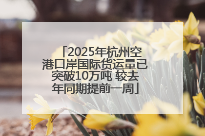 2025年杭州空港口岸国际货运量已突破10万吨 较去年同期提前一周