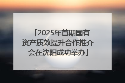 2025年首期国有资产质效提升合作推介会在沈阳成功举办