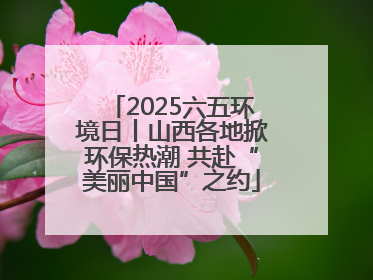 2025六五环境日丨山西各地掀环保热潮 共赴“美丽中国”之约