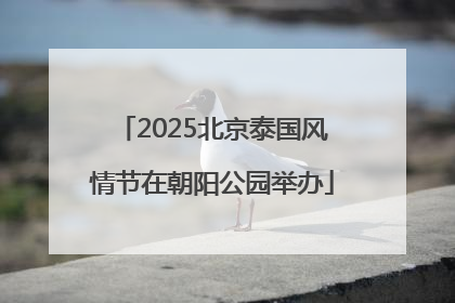 2025北京泰国风情节在朝阳公园举办