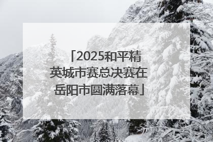 2025和平精英城市赛总决赛在岳阳市圆满落幕