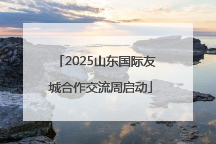 2025山东国际友城合作交流周启动