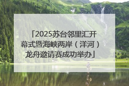 2025苏台邻里汇开幕式暨海峡两岸（洋河）龙舟邀请赛成功举办