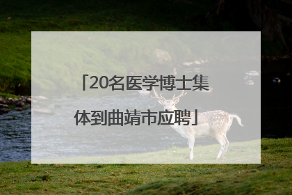 20名医学博士集体到曲靖市应聘