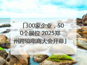 300家企业，500个展位 2025郑州跨境电商大会开幕