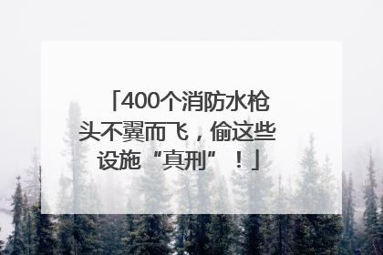 400个消防水枪头不翼而飞，偷这些设施“真刑”！