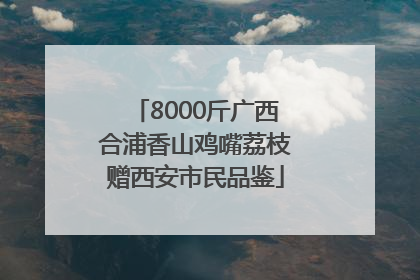 8000斤广西合浦香山鸡嘴荔枝赠西安市民品鉴