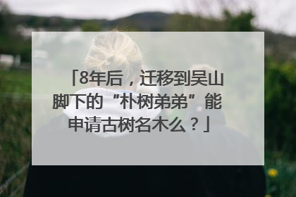 8年后，迁移到吴山脚下的“朴树弟弟”能申请古树名木么？