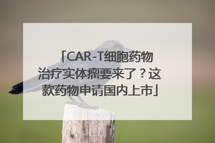 CAR-T细胞药物治疗实体瘤要来了？这款药物申请国内上市
