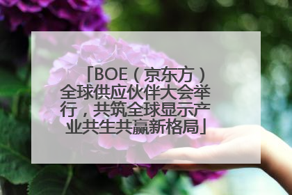 BOE（京东方）全球供应伙伴大会举行，共筑全球显示产业共生共赢新格局