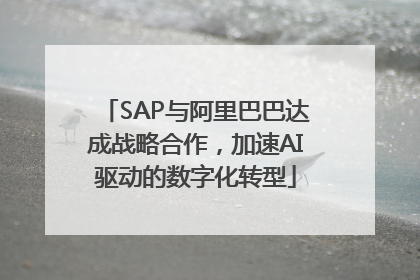 SAP与阿里巴巴达成战略合作，加速AI驱动的数字化转型