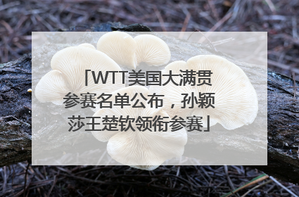 WTT美国大满贯参赛名单公布，孙颖莎王楚钦领衔参赛