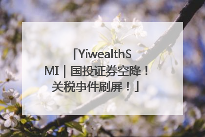 YiwealthSMI｜国投证券空降！关税事件刷屏！